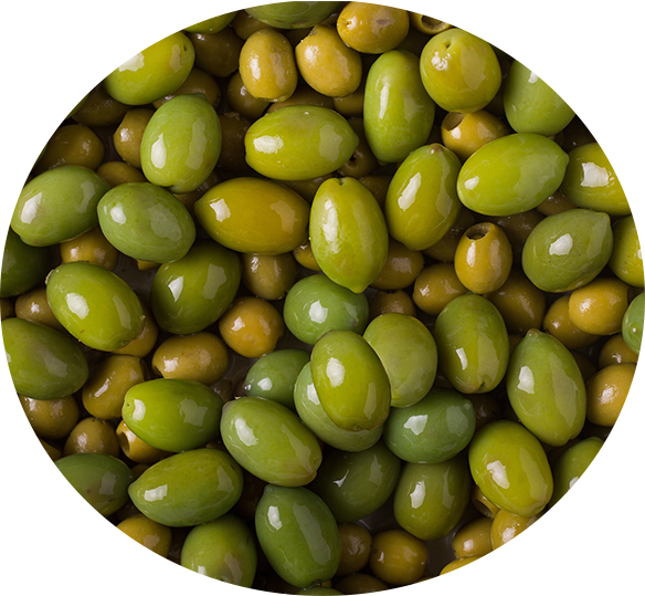 olive olio extravergine