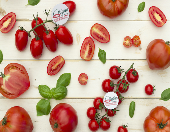 top view di pomodori e pomodorini 