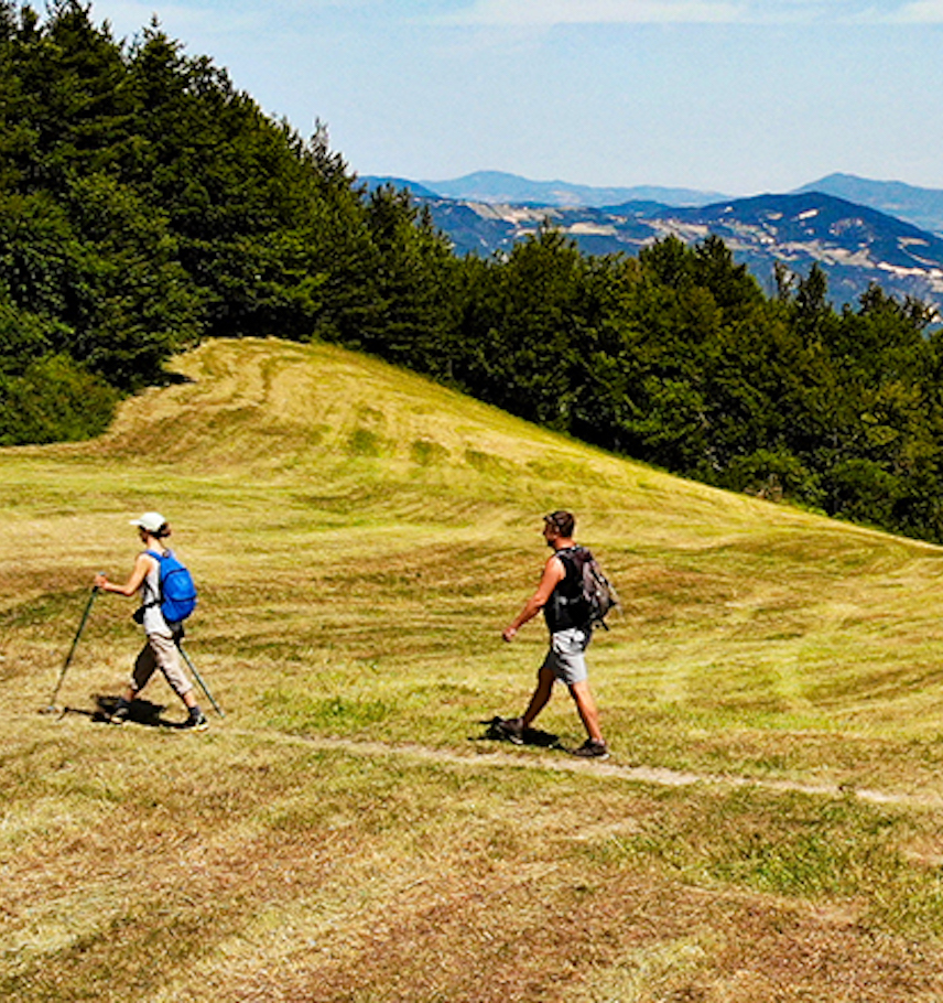 immagine storie list