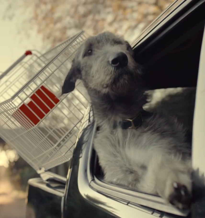 immagine storie list