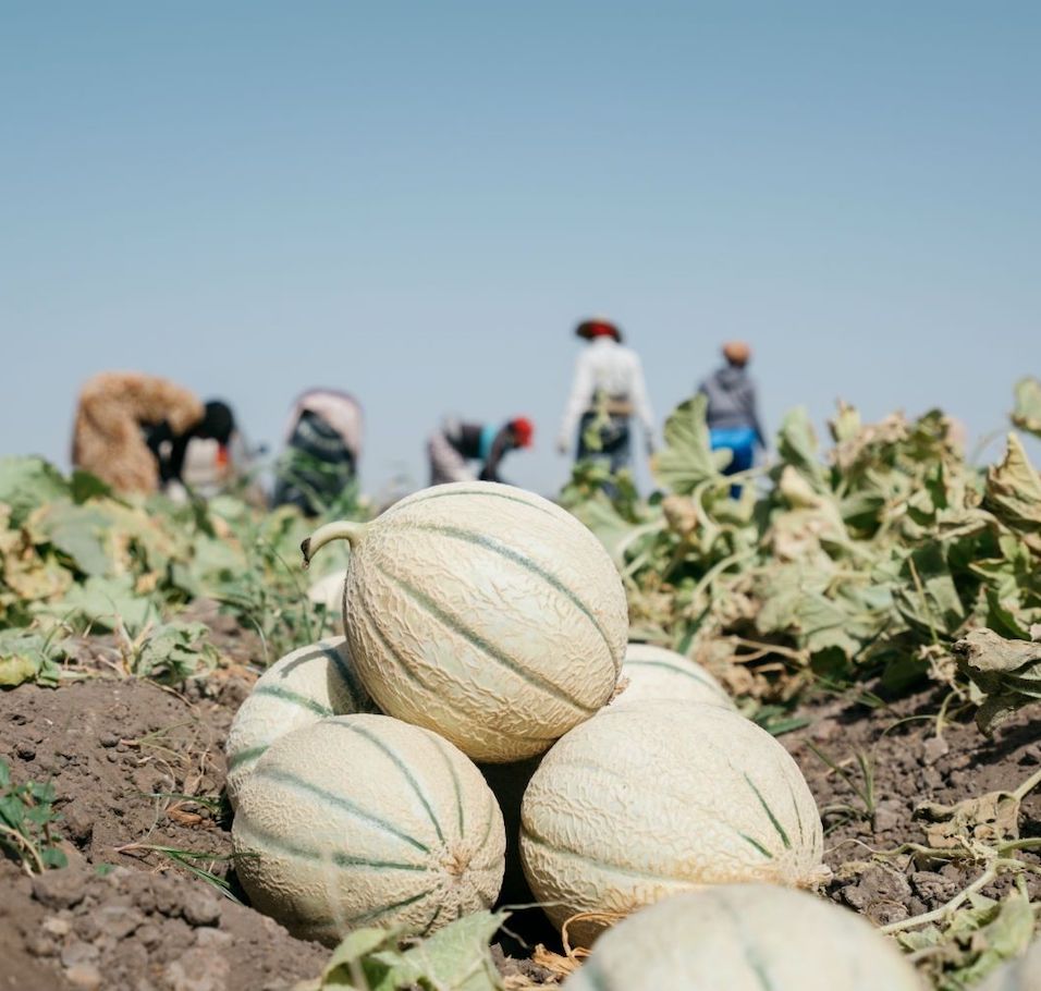 immagine storie list