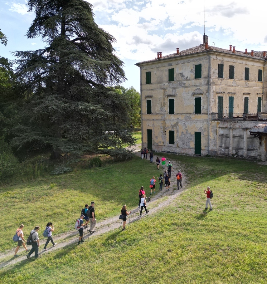 immagine storie list