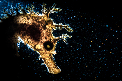 ""
