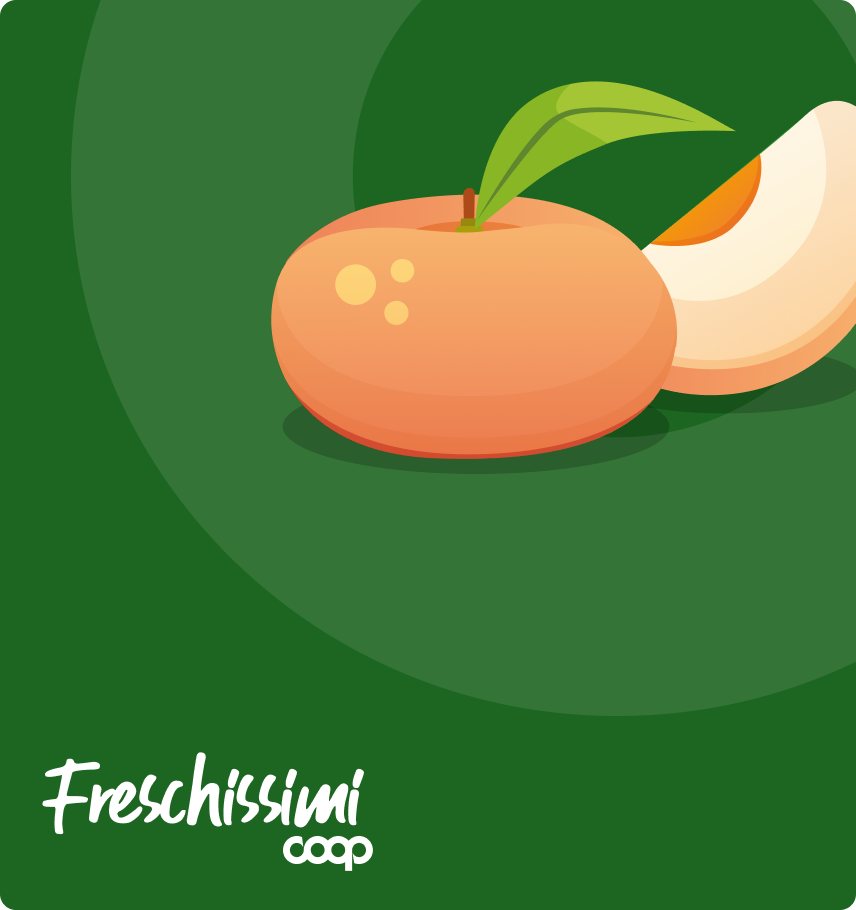 immagine storie list