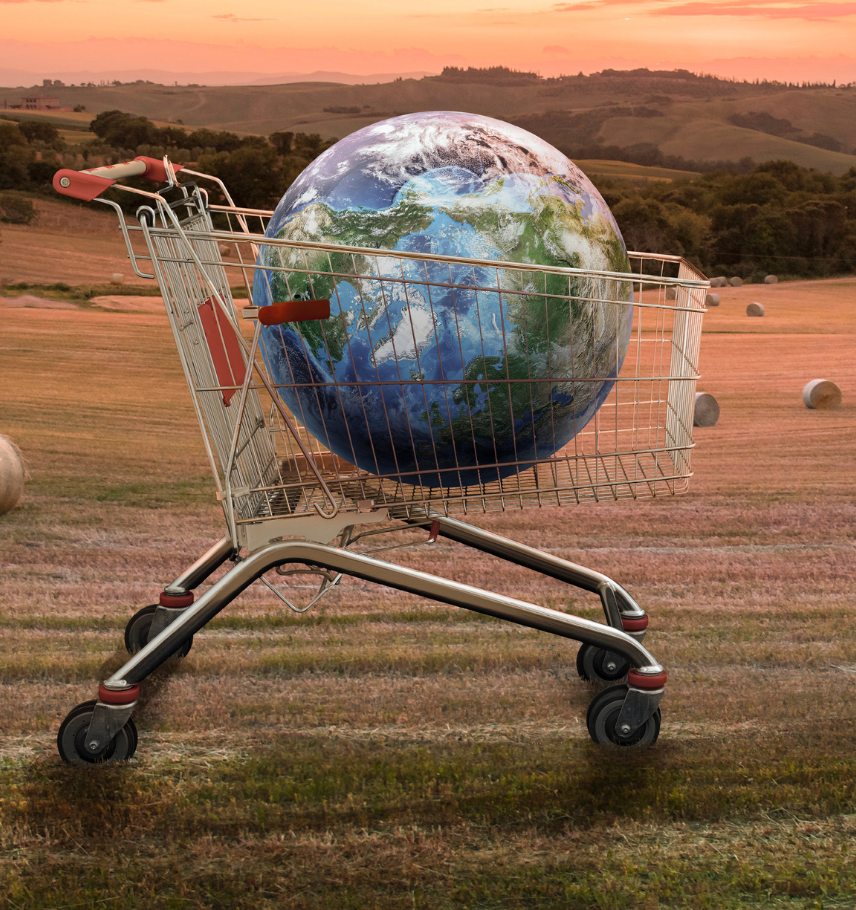 immagine storie list