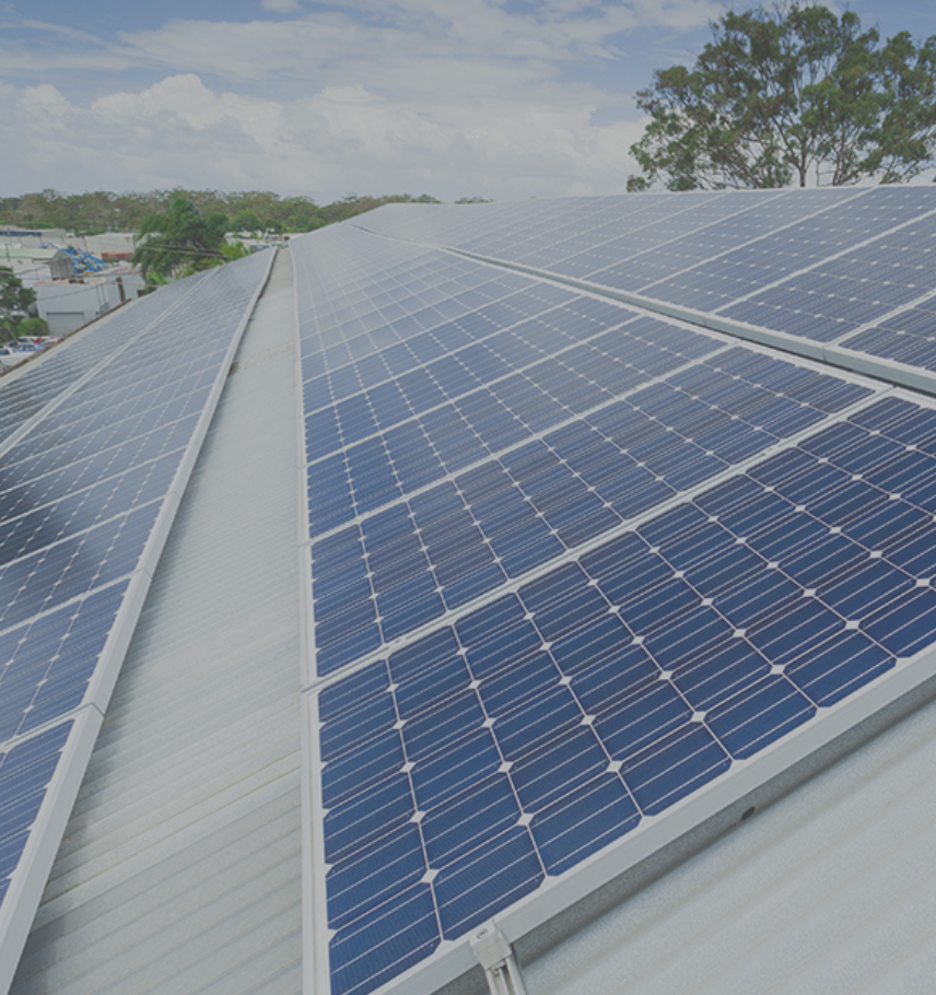 immagine storie list