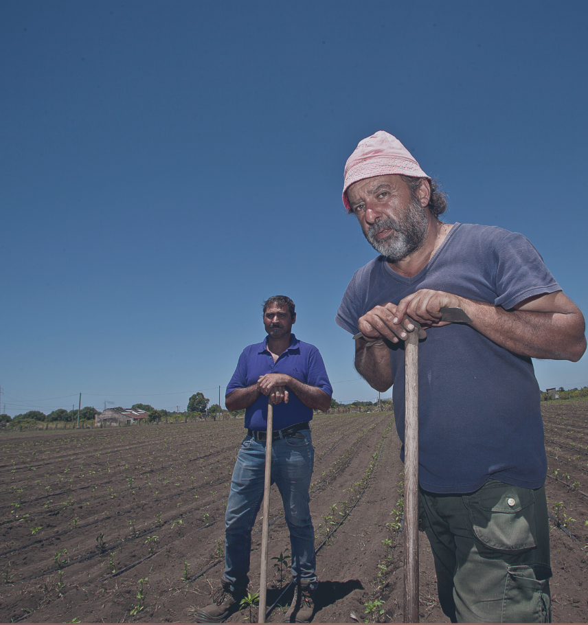 immagine storie list