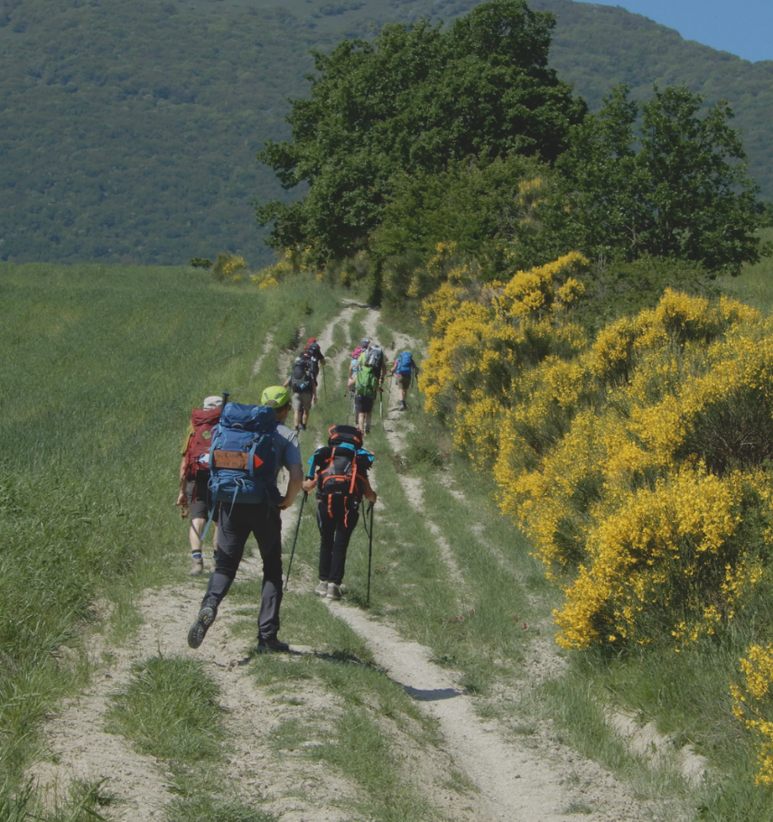 immagine storie list